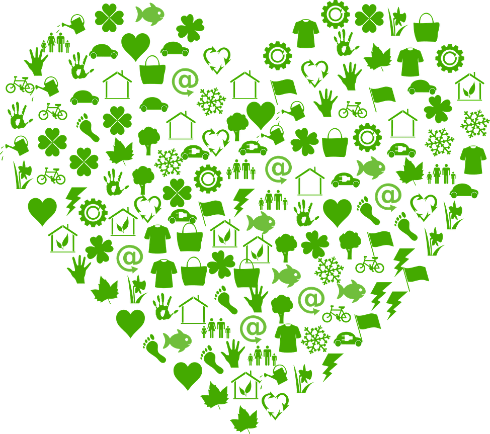 Omakotitalo, pientalo, talopaketti suunnittelu